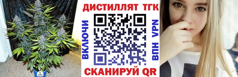 Купить где  Ливны  ТГК концентрат 